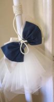Blue and Ivory Lambatha with Rope Trim