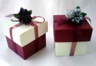 Christmas Favour Box with Berries